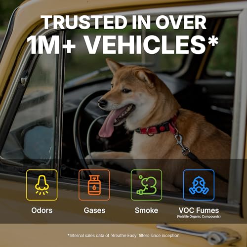 Spearhead Odor Defense Breathe Easy AC & Heater Cabin Filter, Fits Like OEM, Up to 25% Longer Lasting w/Activated Carbon (BE-285)|B07663VCT3